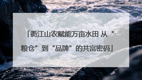 衢江山农赋能万亩水田 从“粮仓”到“品牌”的共富密码