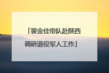 裴金佳带队赴陕西调研退役军人工作