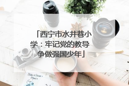西宁市水井巷小学：牢记党的教导 争做强国少年