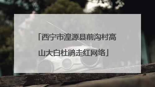 西宁市湟源县前沟村高山大白杜鹃走红网络