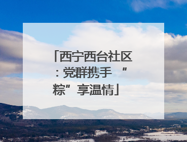 西宁西台社区：党群携手 “粽”享温情