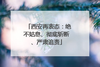 西安再表态：绝不姑息、彻底斩断、严肃追责