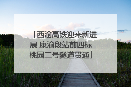 西渝高铁迎来新进展 康渝段站前四标桃园二号隧道贯通