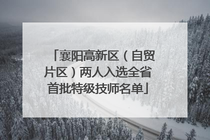 襄阳高新区（自贸片区）两人入选全省首批特级技师名单