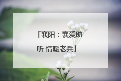 襄阳：襄爱助听 情暖老兵