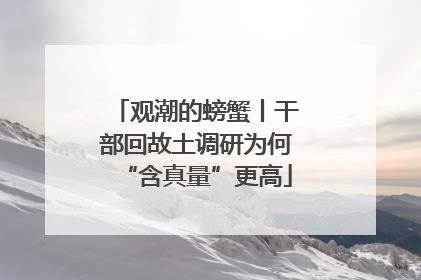 观潮的螃蟹丨干部回故土调研为何“含真量”更高
