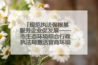 规范执法强根基 服务企业促发展——市生态环境综合行政执法局激活营商环境“绿色动能”