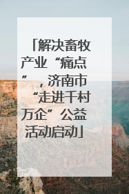 解决畜牧产业“痛点”，济南市“走进千村万企”公益活动启动