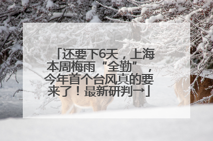还要下6天，上海本周梅雨“全勤”，今年首个台风真的要来了！最新研判→