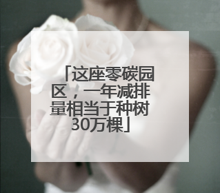 这座零碳园区，一年减排量相当于种树30万棵