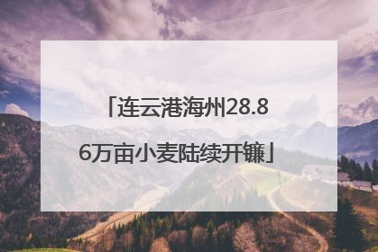 连云港海州28.86万亩小麦陆续开镰