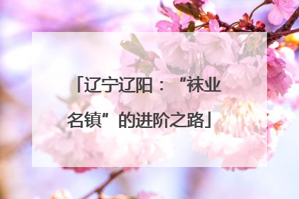 辽宁辽阳：“袜业名镇”的进阶之路