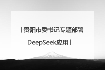 贵阳市委书记专题部署DeepSeek应用