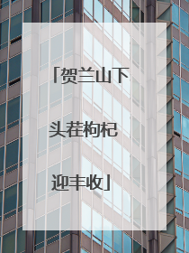 贺兰山下 头茬枸杞迎丰收