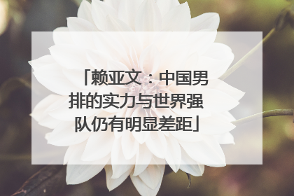 赖亚文：中国男排的实力与世界强队仍有明显差距