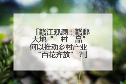 赣江观澜：赣鄱大地“一村一品”何以推动乡村产业“百花齐放”？