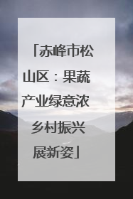 赤峰市松山区：果蔬产业绿意浓 乡村振兴展新姿