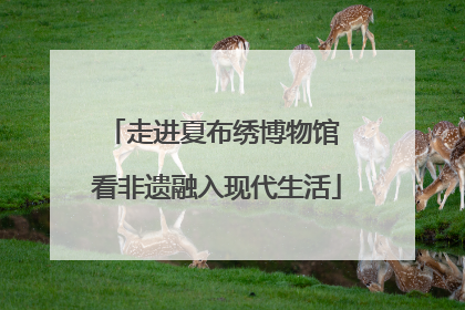 走进夏布绣博物馆 看非遗融入现代生活