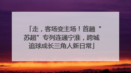 走，客场变主场！首趟“苏超”专列连通宁淮，跨城追球成长三角人新日常
