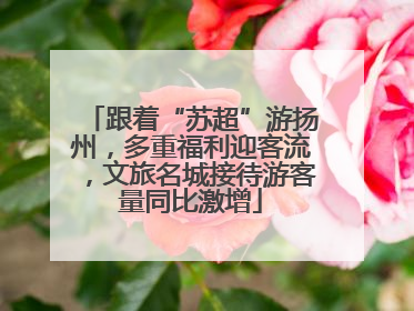 跟着“苏超”游扬州，多重福利迎客流，文旅名城接待游客量同比激增