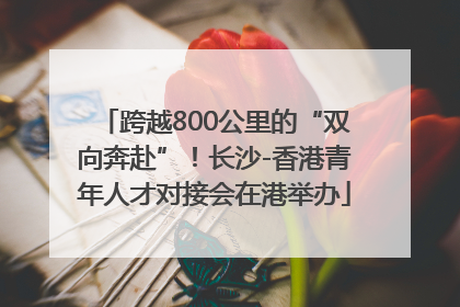 跨越800公里的“双向奔赴”！长沙-香港青年人才对接会在港举办