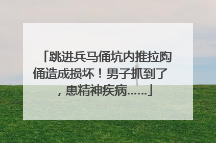 跳进兵马俑坑内推拉陶俑造成损坏！男子抓到了，患精神疾病……