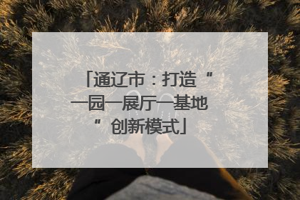 通辽市：打造“一园一展厅一基地”创新模式