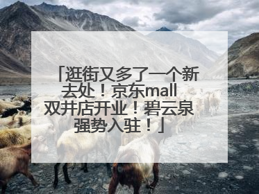 逛街又多了一个新去处！京东mall双井店开业！碧云泉强势入驻！