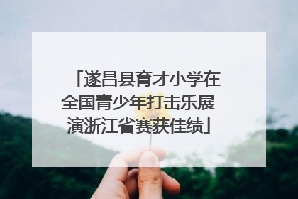 遂昌县育才小学在全国青少年打击乐展演浙江省赛获佳绩