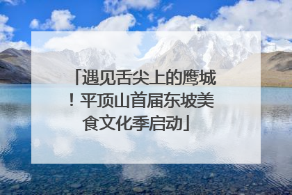 遇见舌尖上的鹰城！平顶山首届东坡美食文化季启动