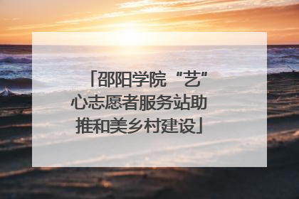 邵阳学院“艺”心志愿者服务站助推和美乡村建设
