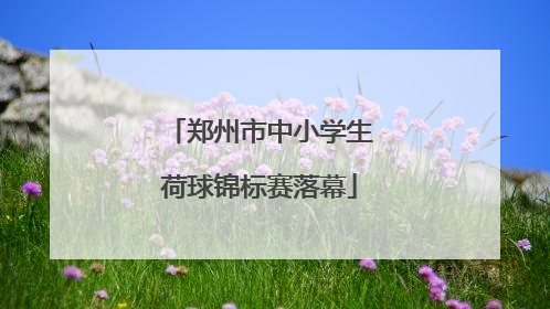 郑州市中小学生荷球锦标赛落幕