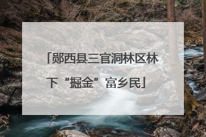 郧西县三官洞林区林下“掘金”富乡民