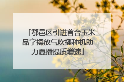 鄠邑区引进首台玉米品字摆放气吹播种机助力夏播提质增速