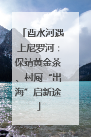 酉水河遇上尼罗河：保靖黄金茶、村厨“出海”启新途