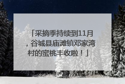 采摘季持续到11月，谷城县庙滩镇邓家湾村的蜜桃丰收啦！