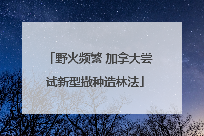 野火频繁 加拿大尝试新型撒种造林法