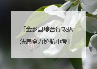 金乡县综合行政执法局全力护航中考