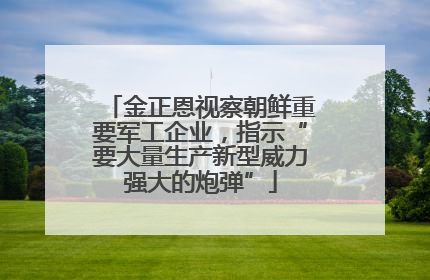 金正恩视察朝鲜重要军工企业，指示“要大量生产新型威力强大的炮弹”