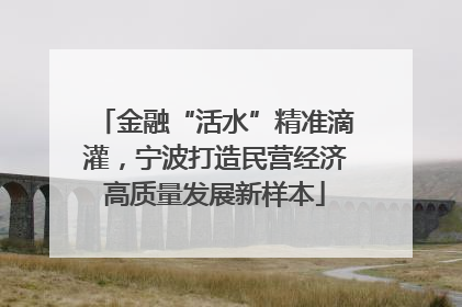 金融“活水”精准滴灌，宁波打造民营经济高质量发展新样本
