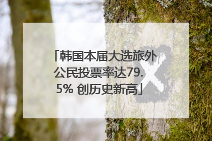 韩国本届大选旅外公民投票率达79.5% 创历史新高