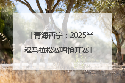 青海西宁：2025半程马拉松赛鸣枪开赛