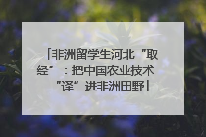 非洲留学生河北“取经”：把中国农业技术“译”进非洲田野