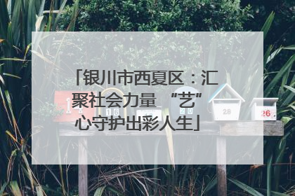银川市西夏区：汇聚社会力量 “艺”心守护出彩人生