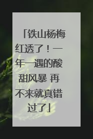 铁山杨梅红透了！一年一遇的酸甜风暴 再不来就真错过了