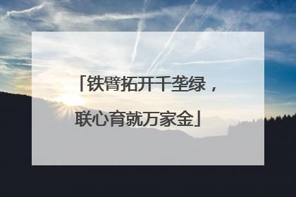 铁臂拓开千垄绿，联心育就万家金