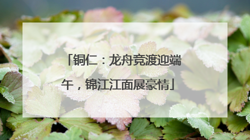 铜仁：龙舟竞渡迎端午，锦江江面展豪情