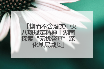 锲而不舍落实中央八项规定精神丨湖南探索“无扰督查”深化基层减负