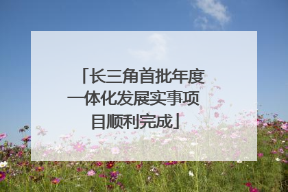 长三角首批年度一体化发展实事项目顺利完成