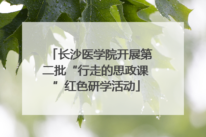 长沙医学院开展第二批“行走的思政课”红色研学活动